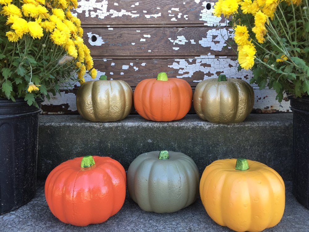 dollar tree pumpkin display