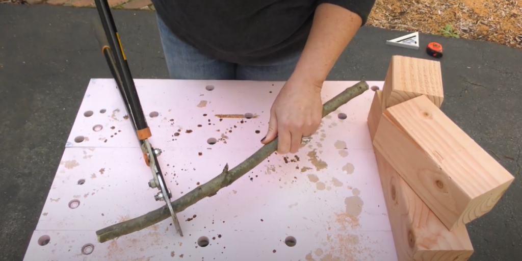 woman cutting branch with pruning shear