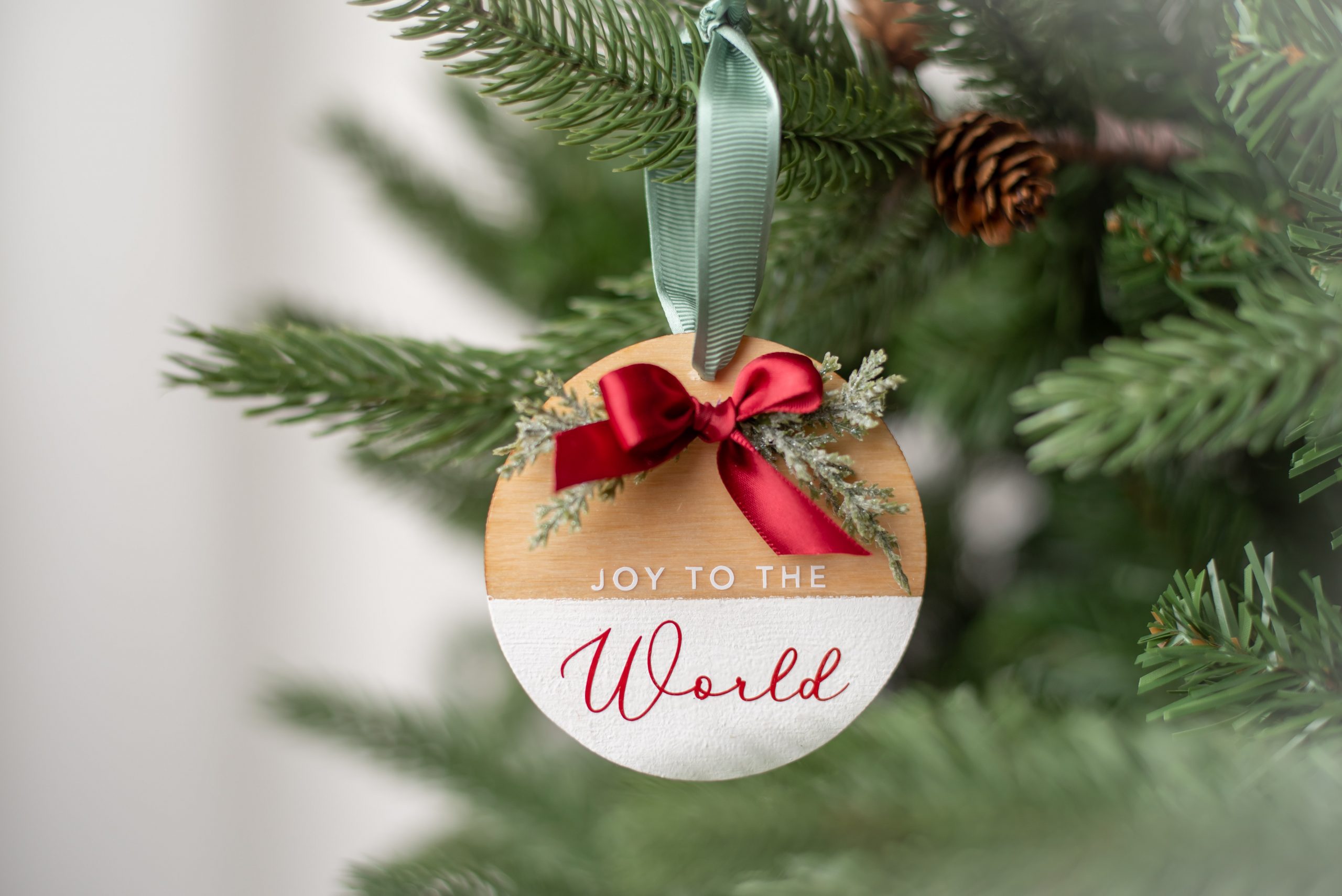 Easy Cricut Ornament Ideas - The Kingston Home