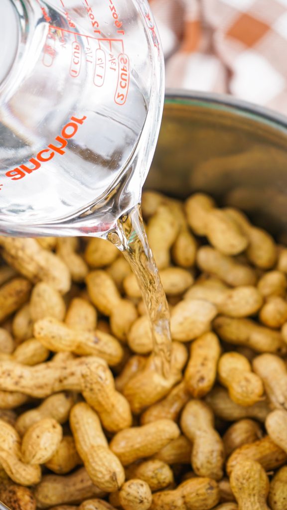 water being added to raw peanuts in instant pot