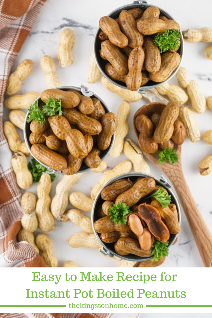 Easy to Make Recipe for Instant Pot Boiled Peanuts